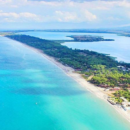 Chambres D Hotes A 20 Pas De La Plage Lucciana  Exteriér fotografie
